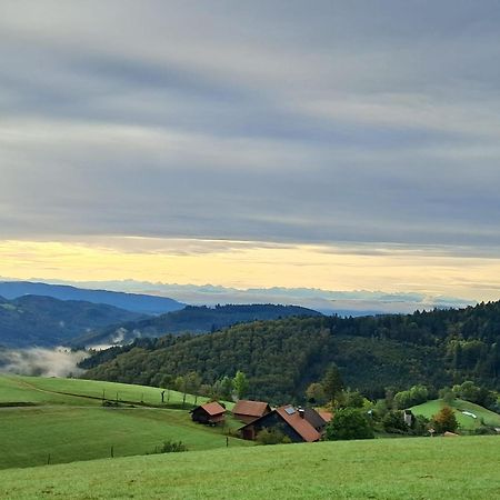 Ferienwohnung Auf Dem Bueckle Kleines Wiesental Luaran gambar