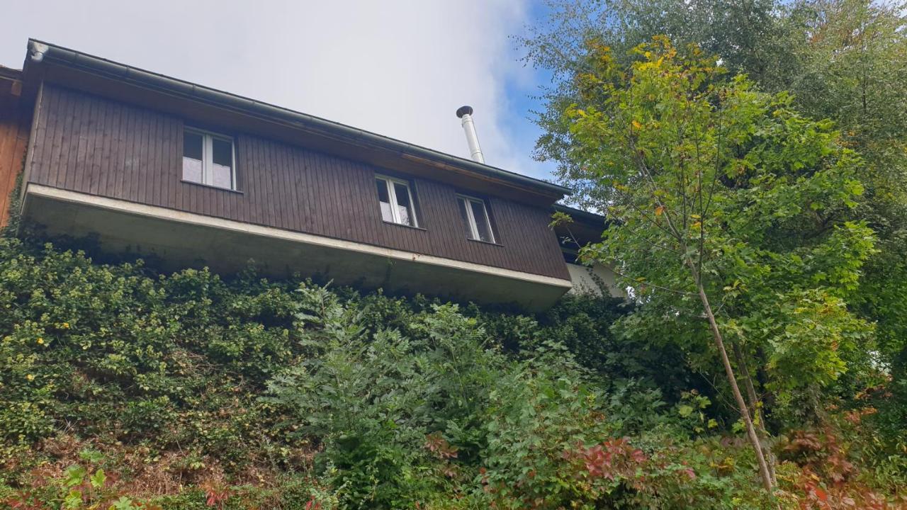 Ferienwohnung Auf Dem Bueckle Kleines Wiesental Luaran gambar