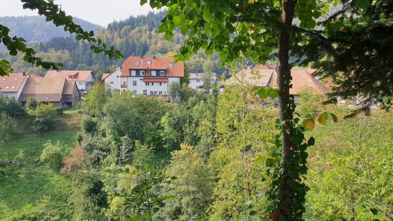 Ferienwohnung Auf Dem Bueckle Kleines Wiesental Luaran gambar
