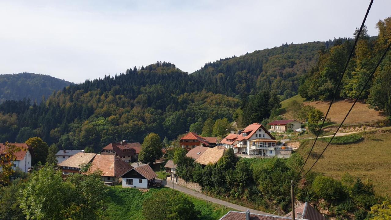 Ferienwohnung Auf Dem Bueckle Kleines Wiesental Luaran gambar