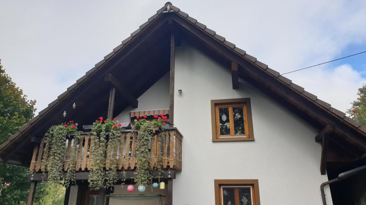 Ferienwohnung Auf Dem Bueckle Kleines Wiesental Luaran gambar