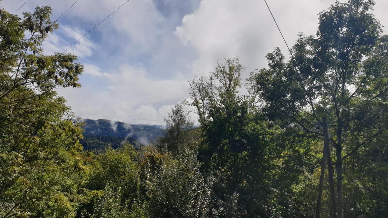 Ferienwohnung Auf Dem Bueckle Kleines Wiesental Luaran gambar